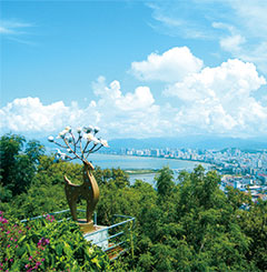 城鄉環(huán)衛運營(yíng)